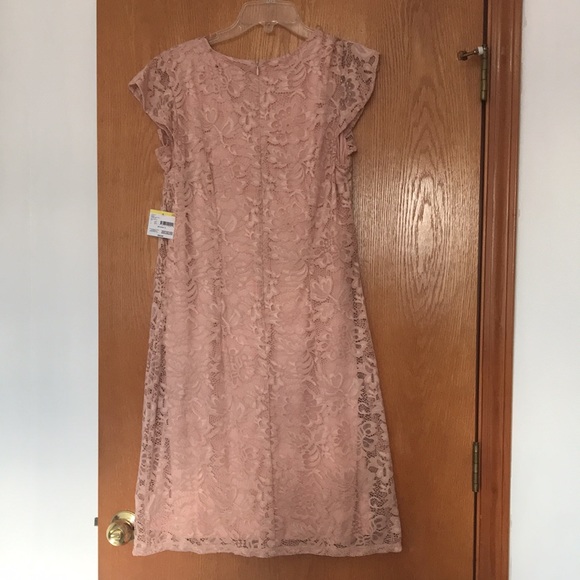 NWT | Simply Styled | XL | Blush | Lace | V Neck | Dress - Picture 2 of 2